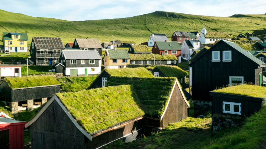 Zielone dachy na domach jednorodzinnych